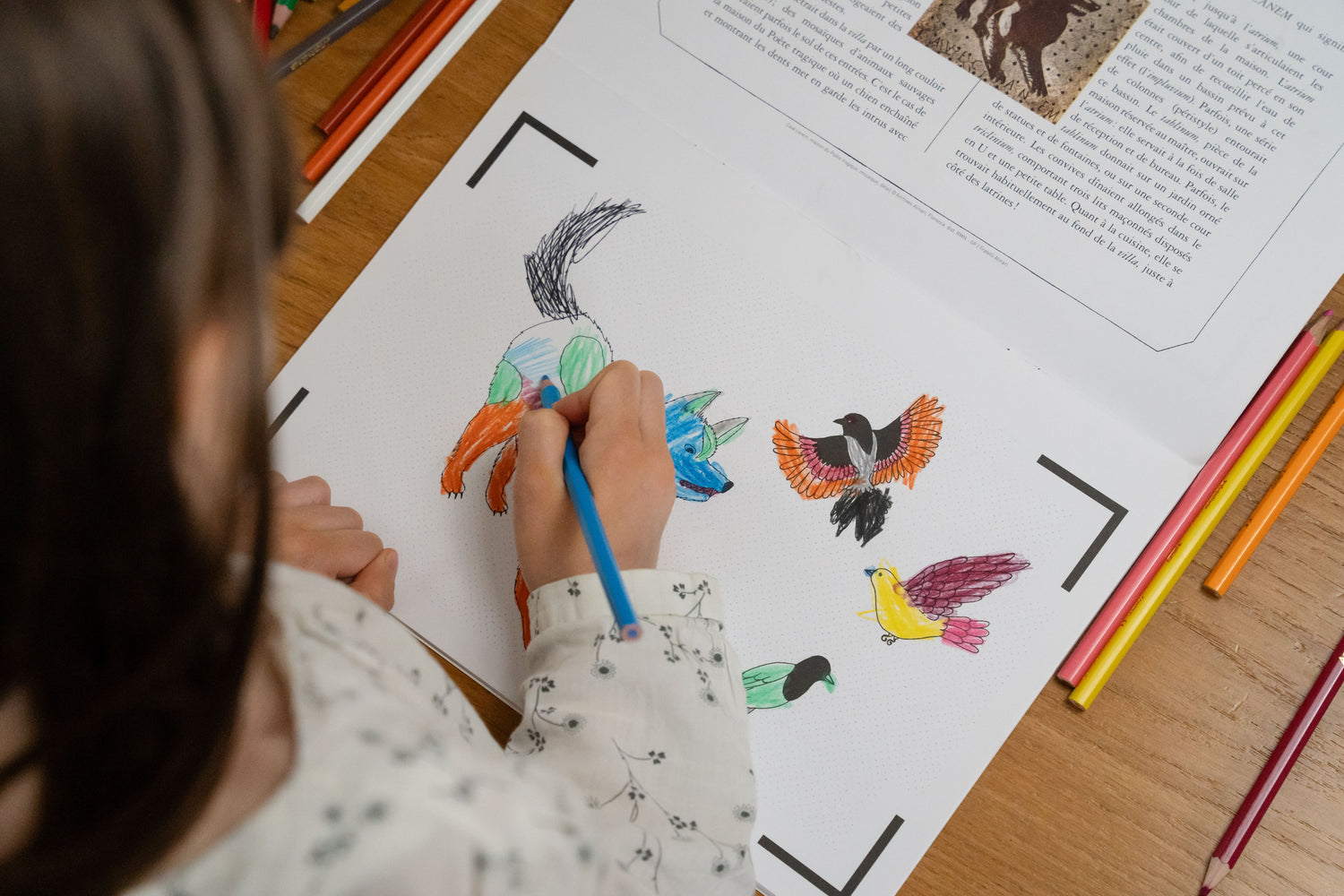 Cahier-de-dessin-animé-Pompei-3