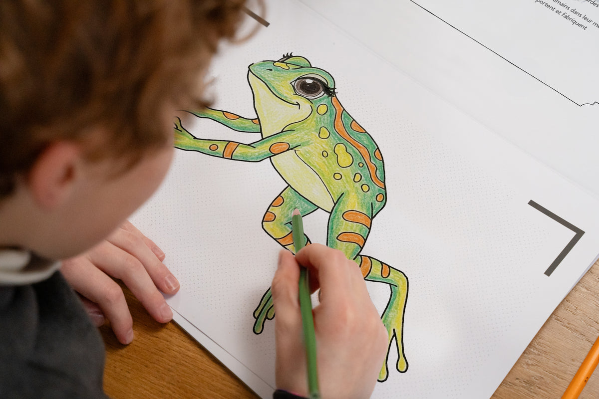 Enfant qui colorie une grenouille dans le cahier Les Animaux de la jungle