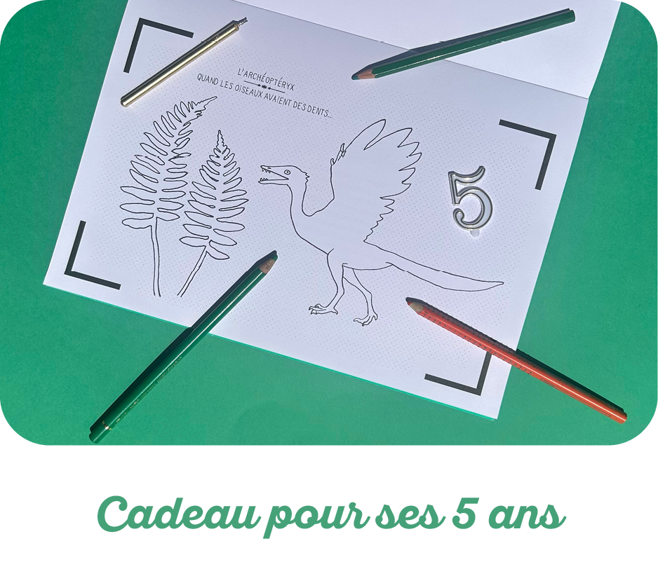 Cadeau d'anniversaire pour un enfant de 5 ans : le guide complet