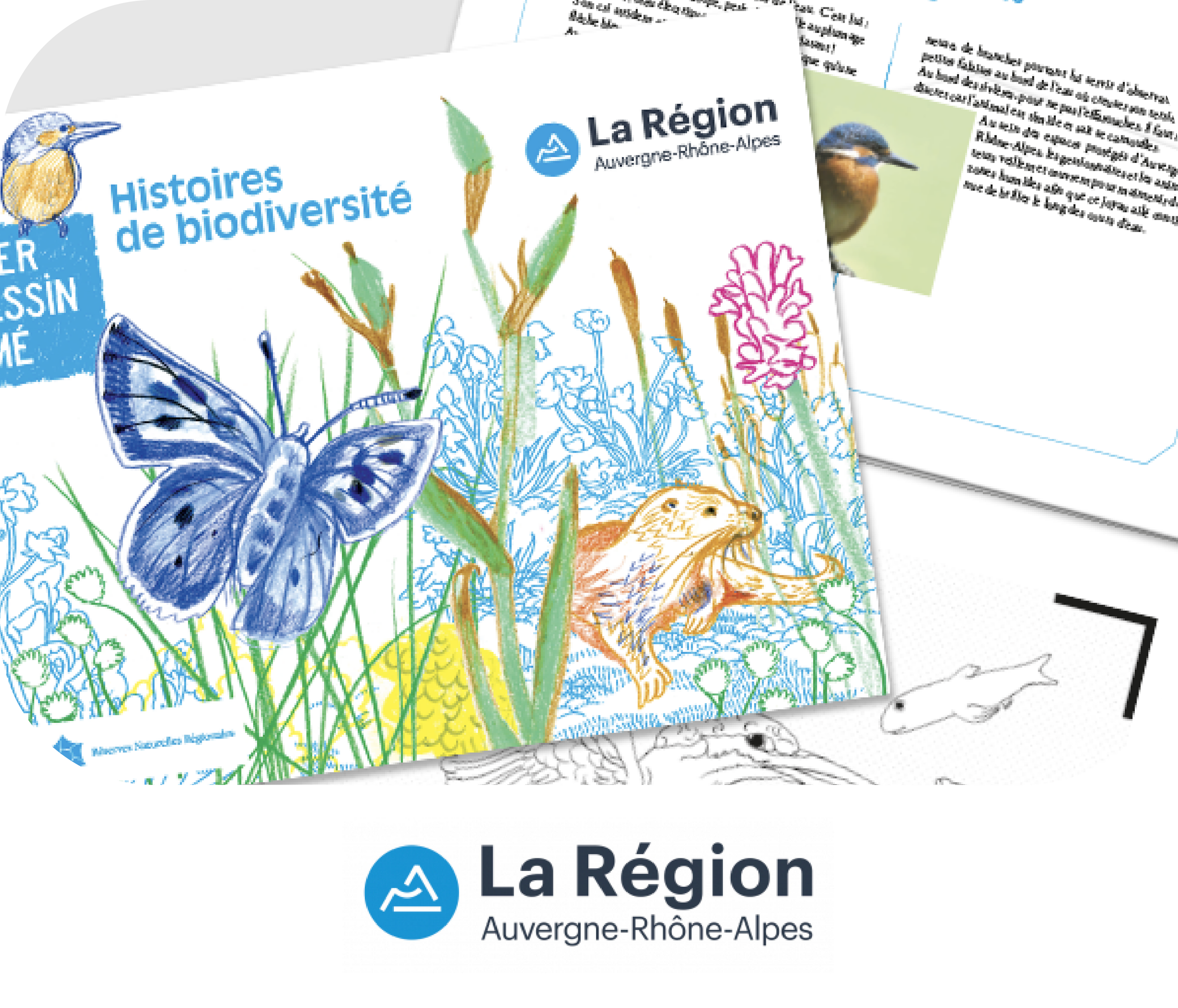 Histoires de biodiversité : BlinkBook s’allie à la Région Auvergne-Rhône-Alpes pour éveiller les jeunes