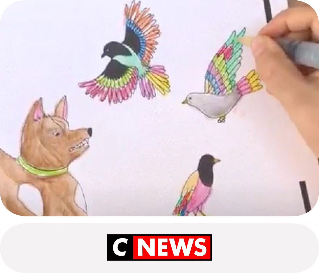 CNEWS – Le coloriage interactif : “Pompéi”