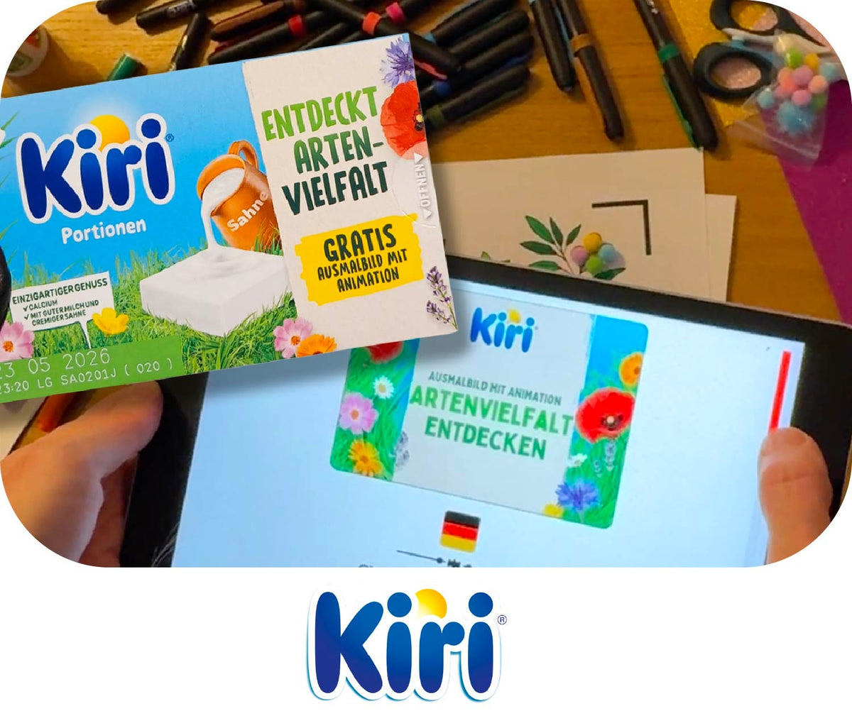 BlinkBook & Kiri : quand une boîte au supermarché devient une porte d’entrée vers la biodiversité